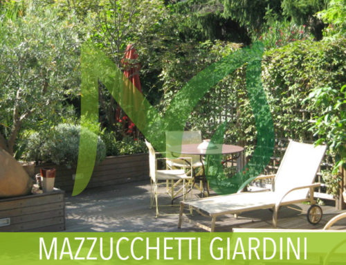 Giardino in fioriere