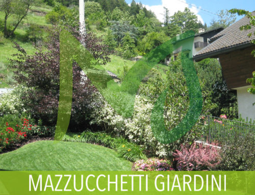 Giardino tra i monti