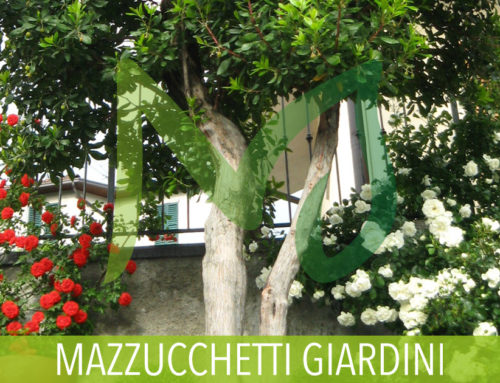 Giardino roccioso