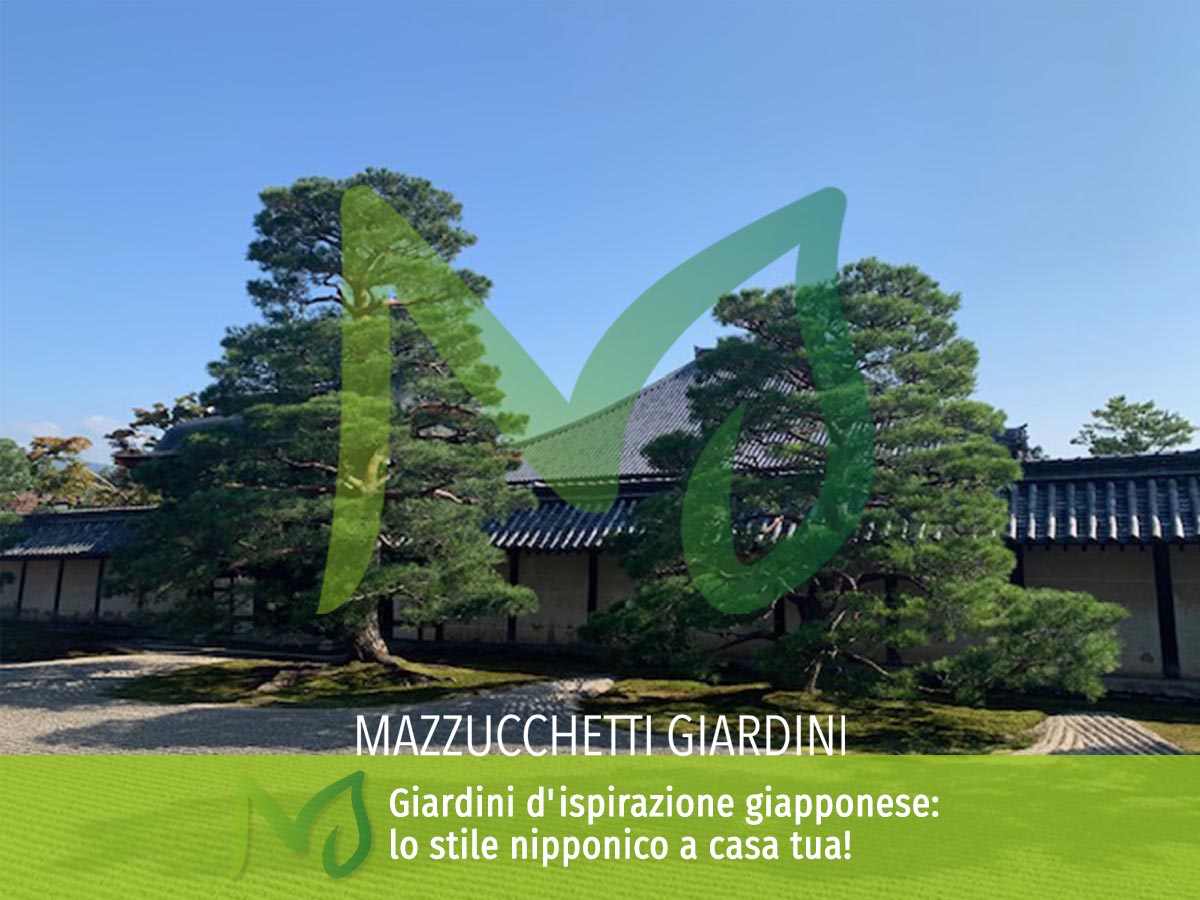 Mazzucchetti Giardini Giardino d'ispirazoine giapponese