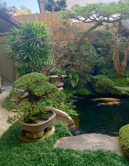 Giardini d'ispirazione giapponese