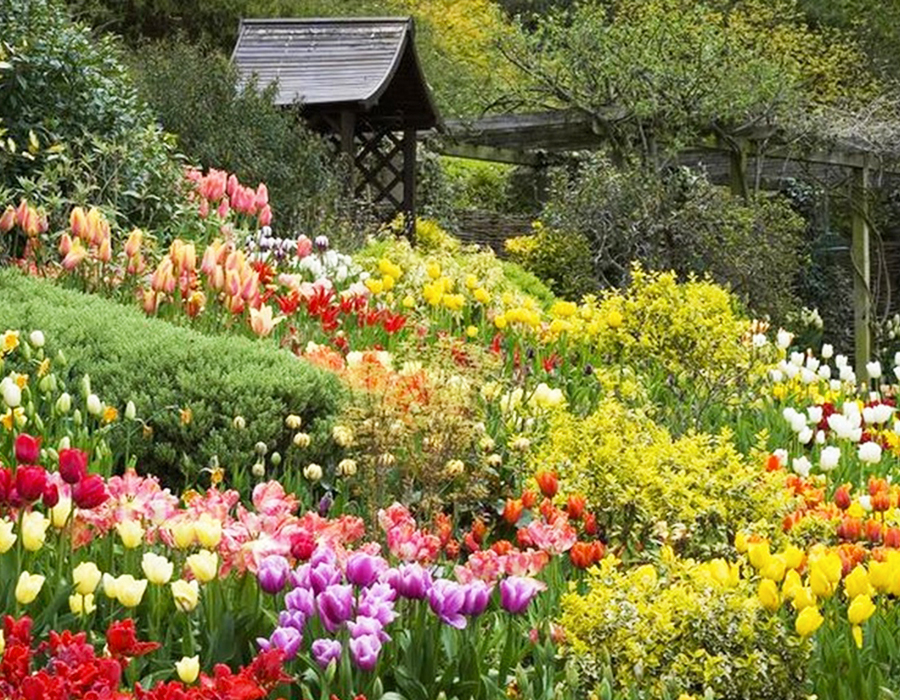 Mazzucchetti Giardini Aprile dolce ripartire