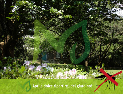 Aprile dolce ripartire…del giardino!